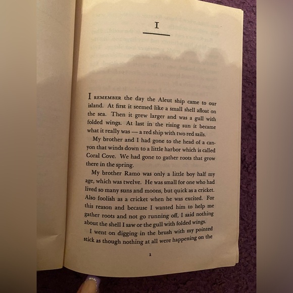 Island of the Blue Dolphins by Scott O’Dell - Picture 4 of 7